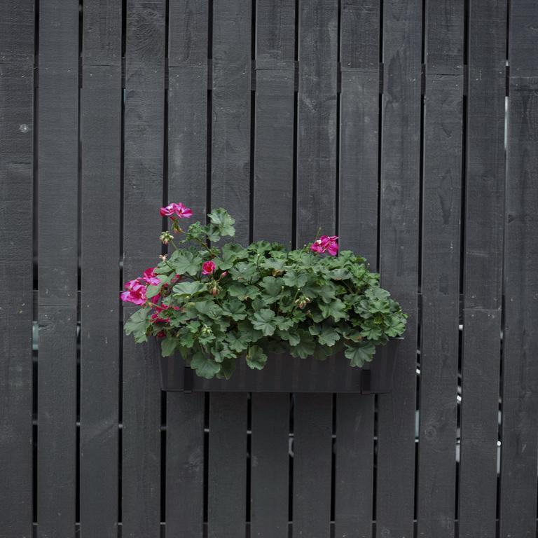 Ferienwohnung Domi Lini Druskininkai Exterior foto