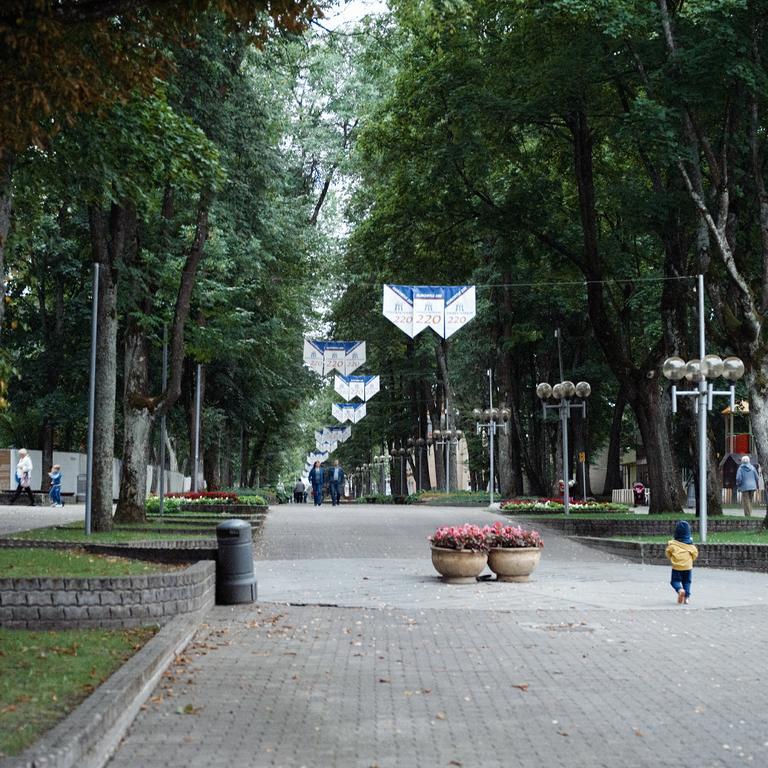 Ferienwohnung Domi Lini Druskininkai Exterior foto