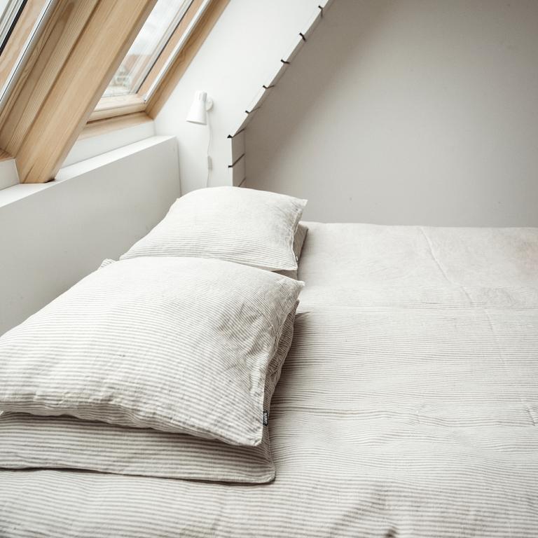 Ferienwohnung Domi Lini Druskininkai Exterior foto